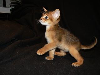 P1020615.JPG (9234 Byte)