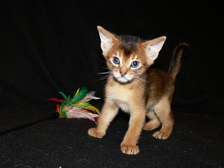 P1020618.JPG (9526 Byte)