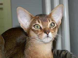 P1030467.JPG (13924 Byte)