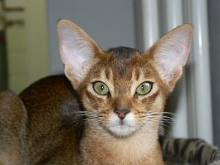 P1030468.JPG (11899 Byte)