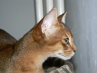 P1030471.JPG (13088 Byte)