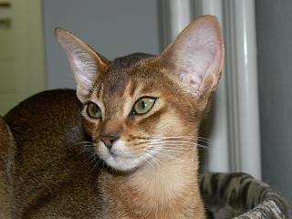 P1030472.JPG (13856 Byte)