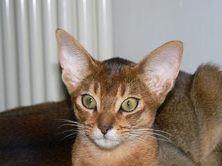 P1030485.JPG (12626 Byte)