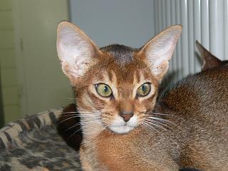 P1030486.JPG (15863 Byte)