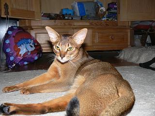 P1030934.JPG (18772 Byte)