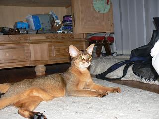 P1030939.JPG (16276 Byte)