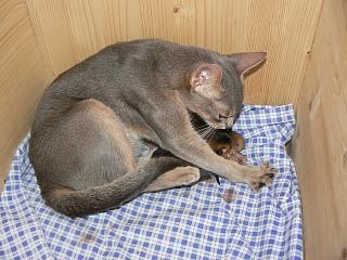 P1040213.JPG (18744 Byte)