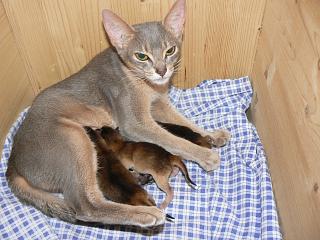 P1040217.JPG (18281 Byte)