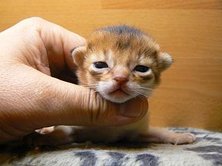 P1040275.JPG (12897 Byte)