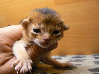 P1040277.JPG (12187 Byte)