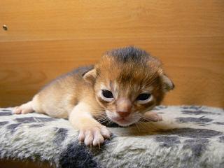 P1040280.JPG (13277 Byte)