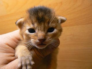 P1040288.JPG (10830 Byte)