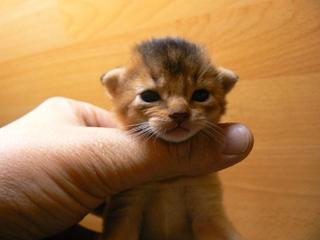 P1040299.JPG (9156 Byte)