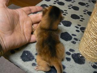 P1040300.JPG (15132 Byte)