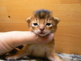 P1040305.JPG (11979 Byte)