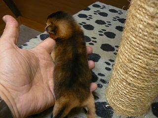 P1040310.JPG (16657 Byte)