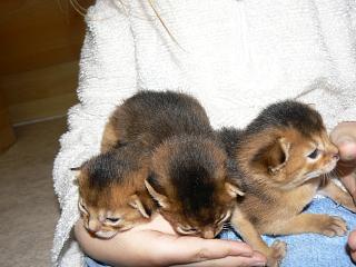 P1040352.JPG (15402 Byte)