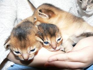 P1040354.JPG (15795 Byte)