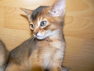 P1040823.JPG (13615 Byte)