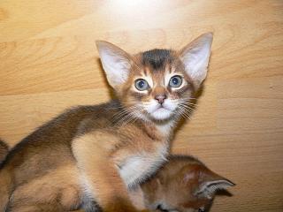 P1040834.JPG (13078 Byte)