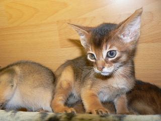 P1040835.JPG (13260 Byte)