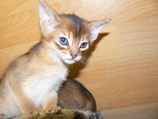 P1040854.JPG (13537 Byte)