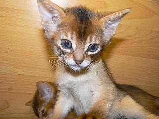 P1040860.JPG (13008 Byte)