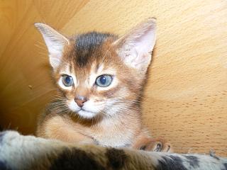 P1040869.JPG (14228 Byte)