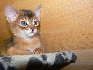 P1040874.JPG (14061 Byte)