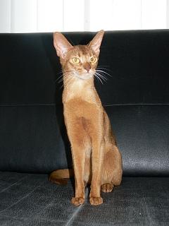 P1060424.JPG (11303 Byte)