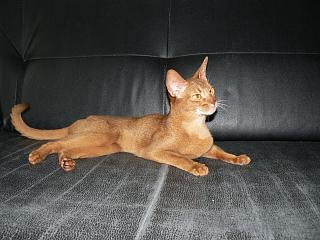 P1060431.JPG (15049 Byte)