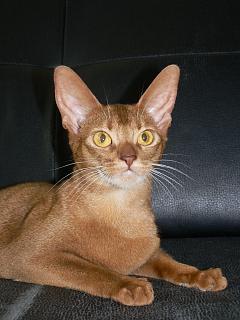 P1060445.JPG (13652 Byte)