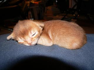 P1070865.JPG (11838 Byte)