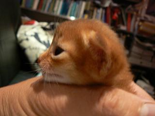 P1070915.JPG (10707 Byte)