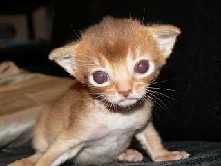 P1070946.JPG (12459 Byte)