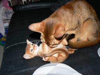 P1080033.JPG (16262 Byte)