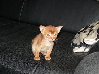 P1080083.JPG (14381 Byte)