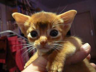 P1080095.JPG (12755 Byte)