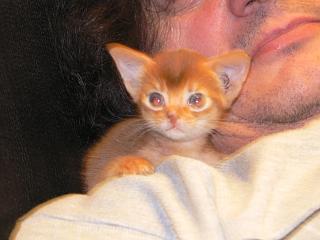 P1080183.JPG (11903 Byte)