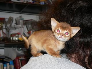 P1080207.JPG (15549 Byte)