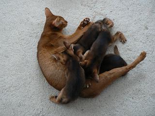 P1090944.JPG (16357 Byte)