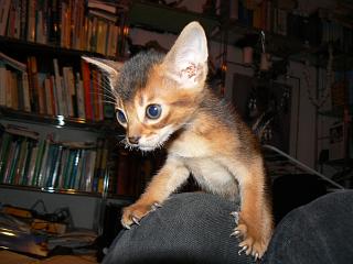 P1090953.JPG (15490 Byte)