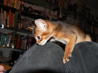 P1090956.JPG (15370 Byte)