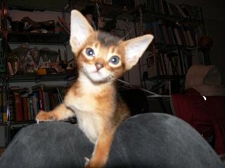 P1090958.JPG (12991 Byte)