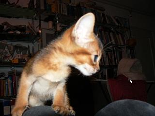 P1090963.JPG (11862 Byte)