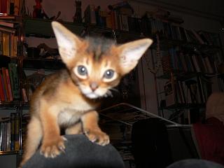 P1090968.JPG (12388 Byte)