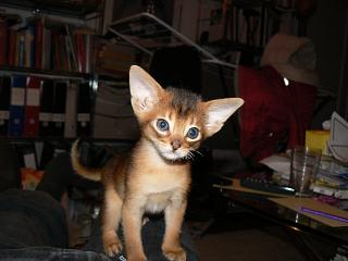 P1090970.JPG (12371 Byte)