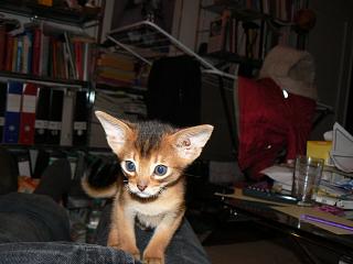 P1090973.JPG (13897 Byte)