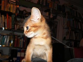 P1090980.JPG (12258 Byte)