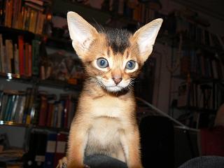 P1090981.JPG (12968 Byte)